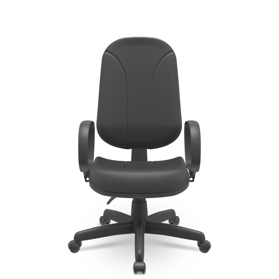 Roselle presidente 008.jpg