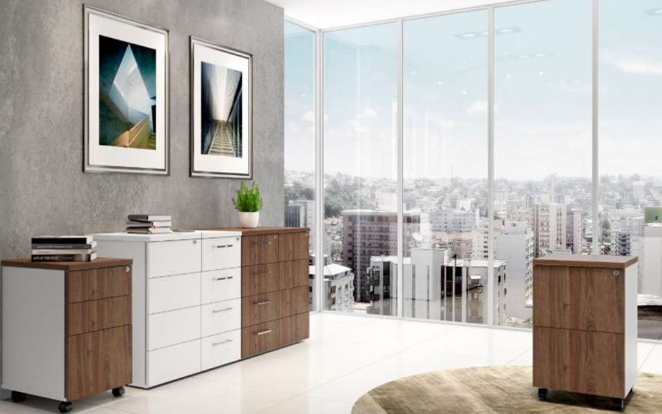 Roselle office armario 003.png