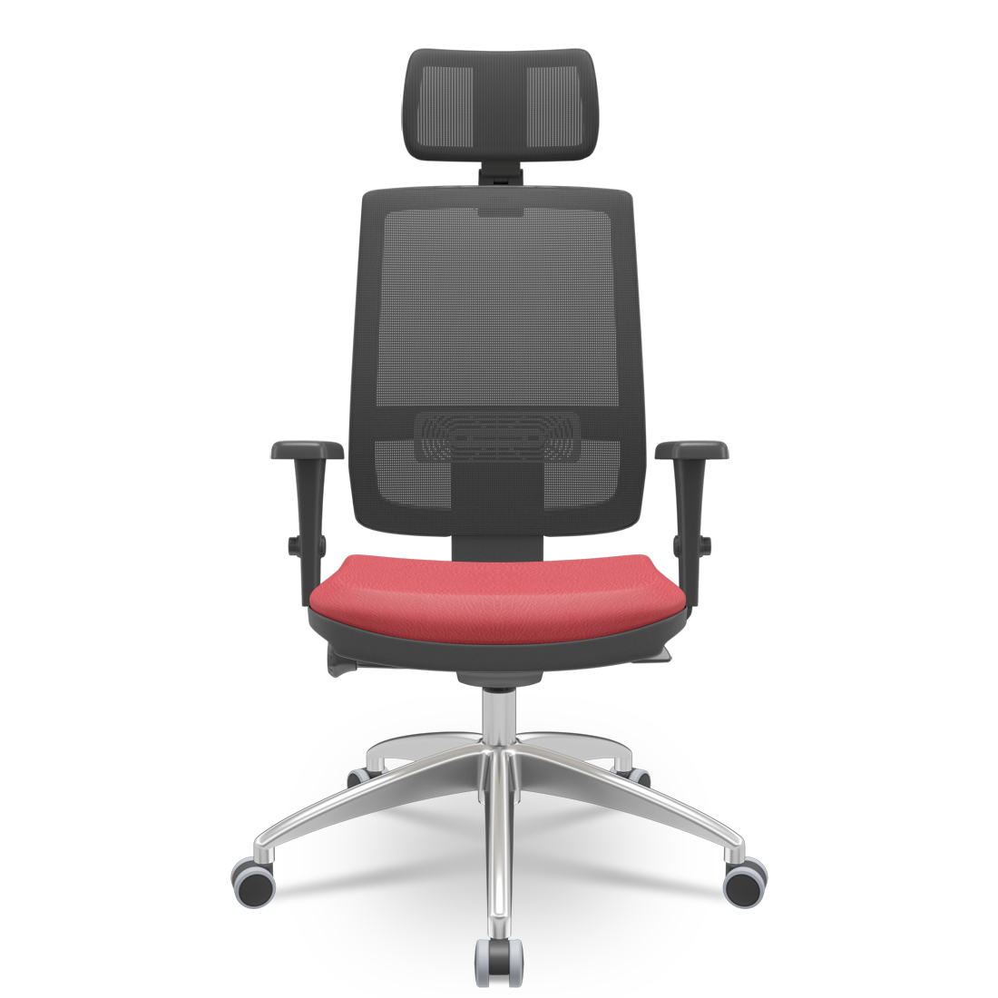 Roselle presidente 003.jpg